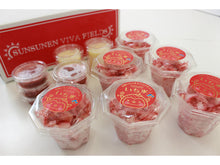 画像をギャラリービューアに読み込む, 甘熟いちごを丸ごと削った いち氷 6コ入り【燦燦園】